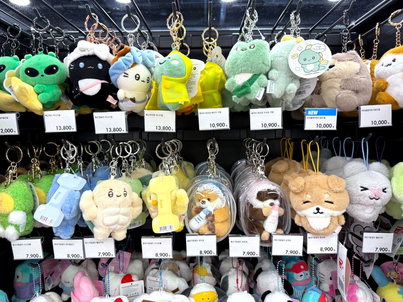 ARTBOX 明洞駅店｜明洞(ソウル)のショッピング店｜韓国旅行「コネスト」