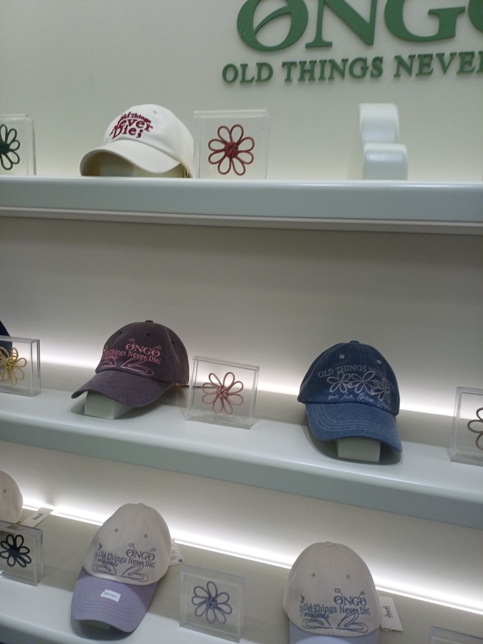 ONGO｜聖水洞・ソウルの森(ソウル)のショッピング店｜韓国旅行「コネスト」