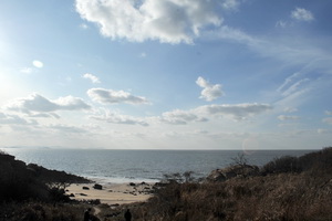 展望台はないが、散策路の先には映画を撮影した島の西海岸が目の前に。