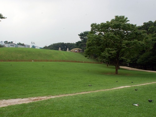 ここのお墓は小高い所にあります。