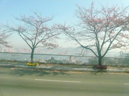 バスの中から撮りました①