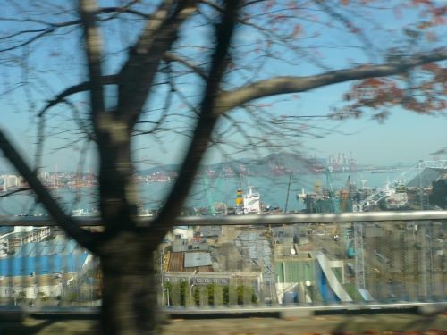 バスの中から撮りました②