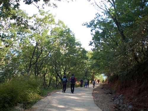 さらに駅へとこんな感じの道をテクテクと降りて行きます。良い休日になりました。