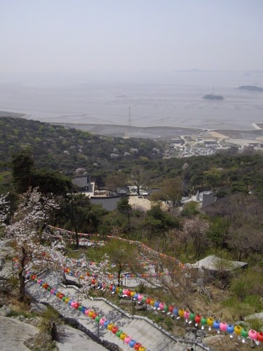 ちょっと怖いけど絶景です!