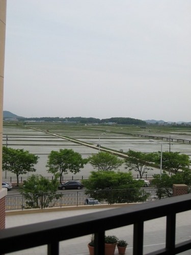 周辺はのどかな田園地帯。ギャップがすごい（笑）