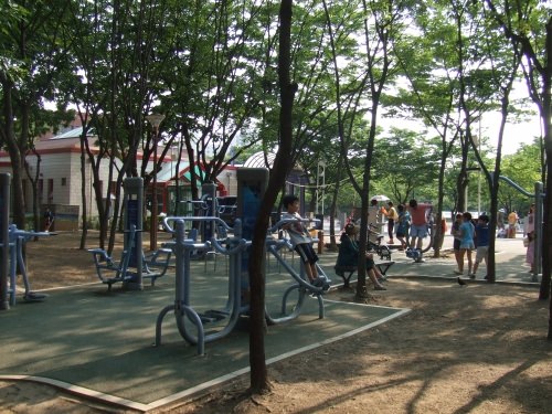 大人も楽しめます。