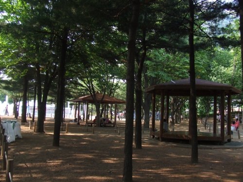 ここでランチ♪