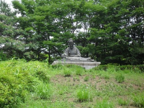 暑い中、雑草に覆われた丘で治療に励む亀岩先生