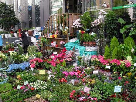ここは花屋か！という状態の店舗前