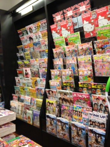 子供向けの雑誌もありました