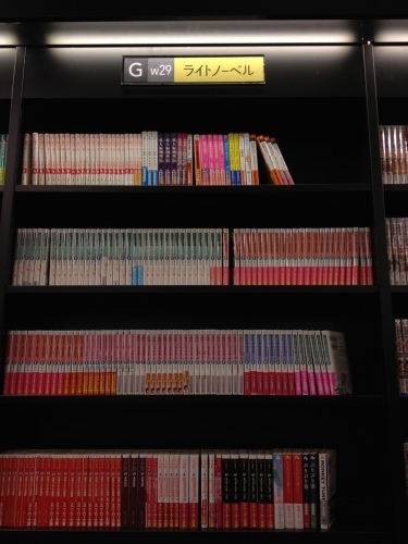 なぜかライトノーベル(笑)