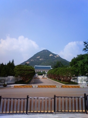 お～～い。。　見えますか？