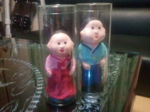 保管用のケース付きです