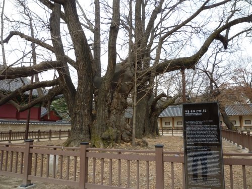 ドラマの世界でした。