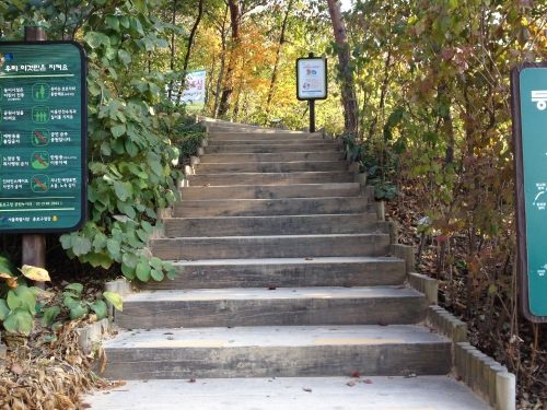 階段を登って行きます。