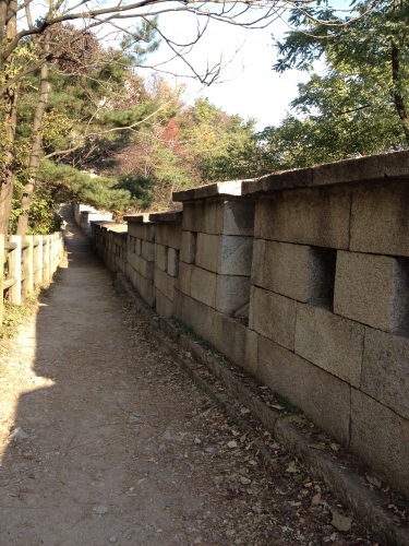 途中は平らなところも。