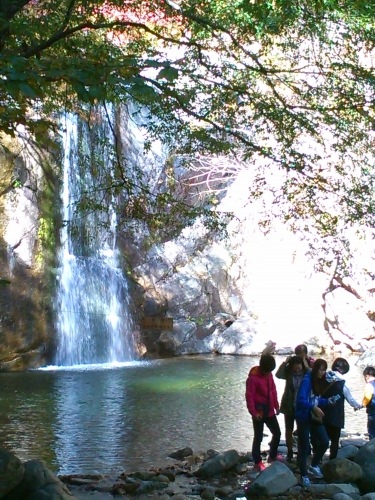 滝もあります。