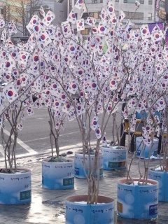 歩いていたら突然現れて不思議な光景でした。