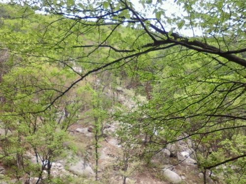 落石があり一部立ち入り禁止