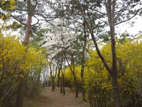 都会の真ん中とは思えない木立の中の静かな道を登ります。