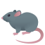 :rat: 🐀