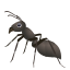 :ant: 🐜