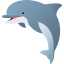 :dolphin: 🐬